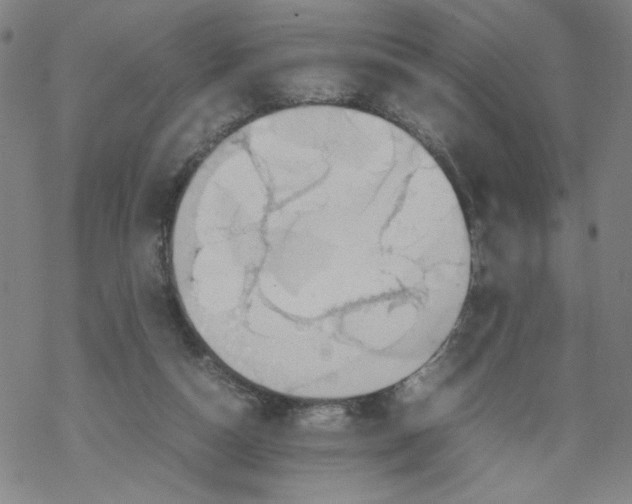 X0000067910162200605111952