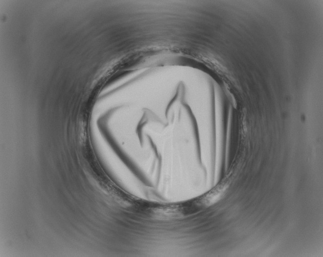 X0000067910164200605111952