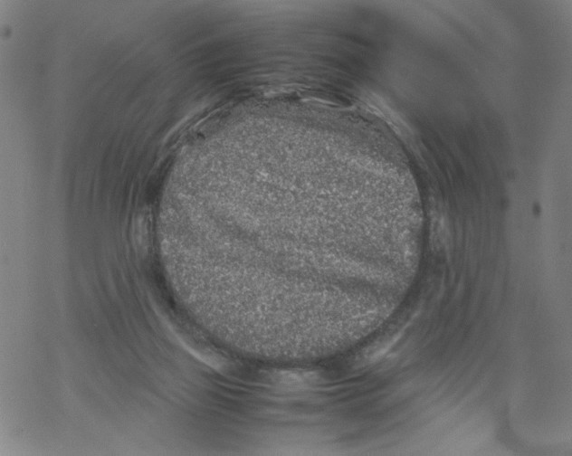 X0000067910165200605111952