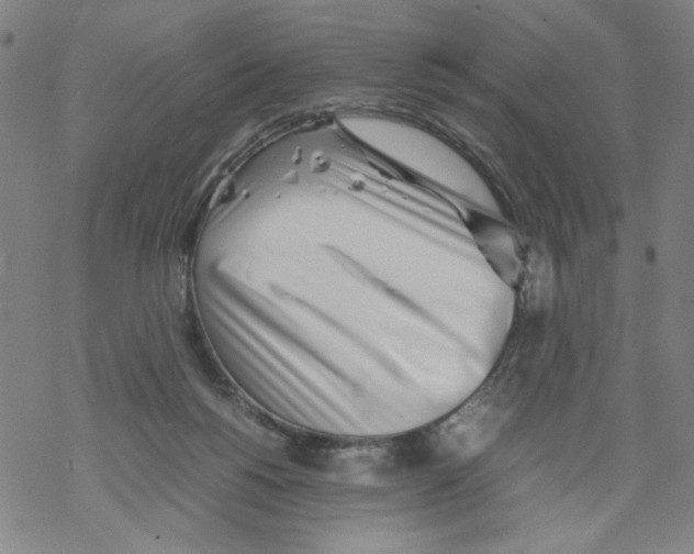 X0000067910168200605111952