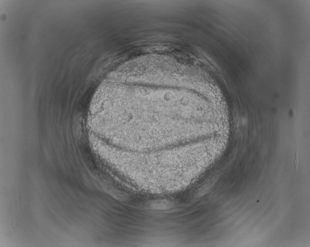 X0000067910169200605111952