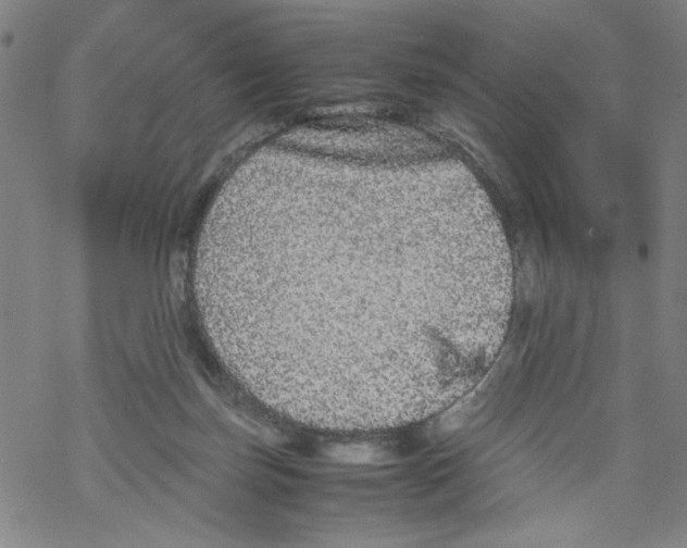 X0000067910171200605111952