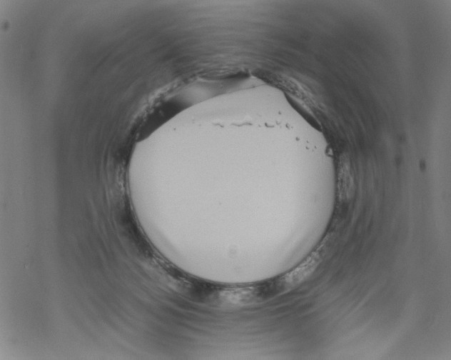 X0000067910172200605111952