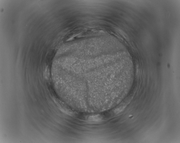 X0000067910173200605111952