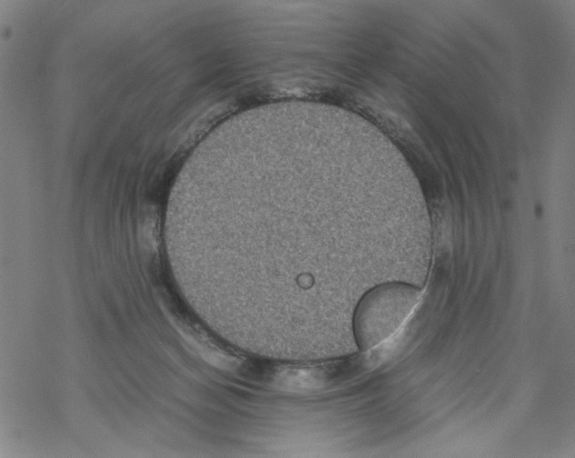 X0000067910174200605111952