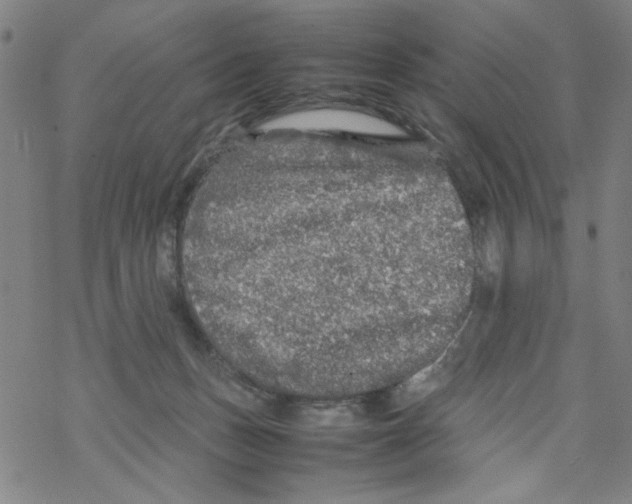 X0000067910175200605111952