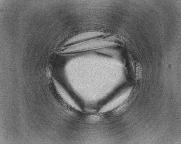 X0000067910176200605111952