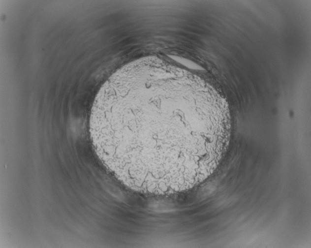 X0000067910177200605111952