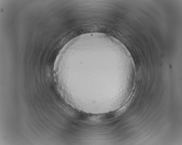 X0000067910178200605111952