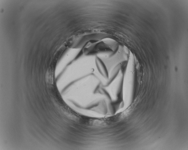 X0000067910180200605111952