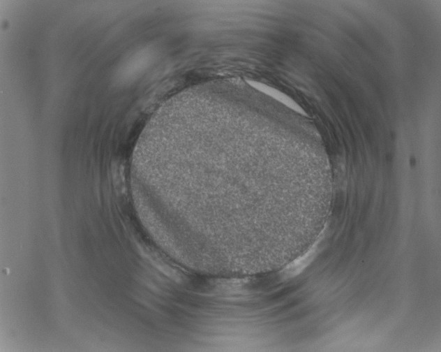 X0000067910182200605111952