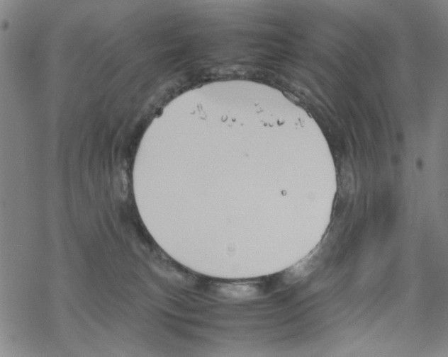 X0000067910183200605111952