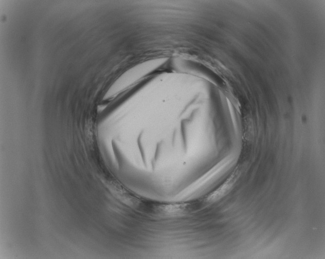 X0000067910184200605111952