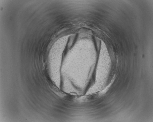 X0000067910186200605111952