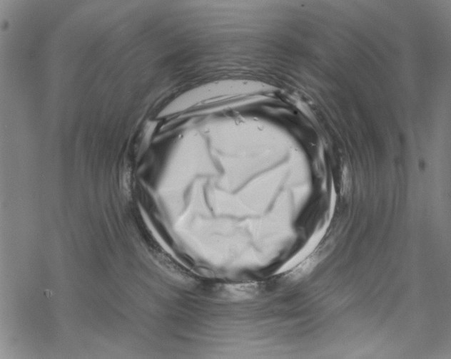 X0000067910188200605111952