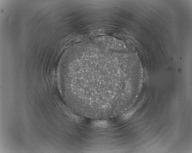 X0000067910189200605111952