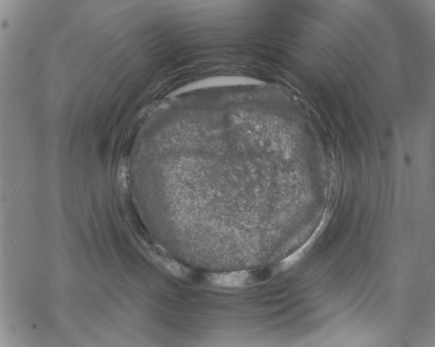 X0000067910191200605111952