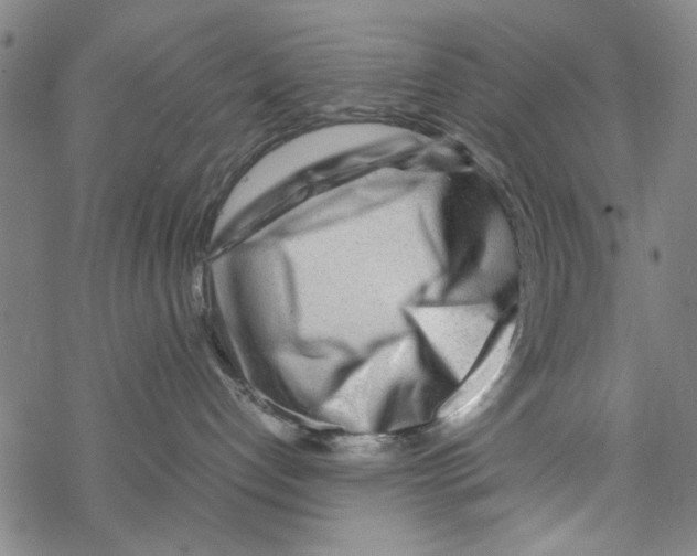 X0000067910192200605111952