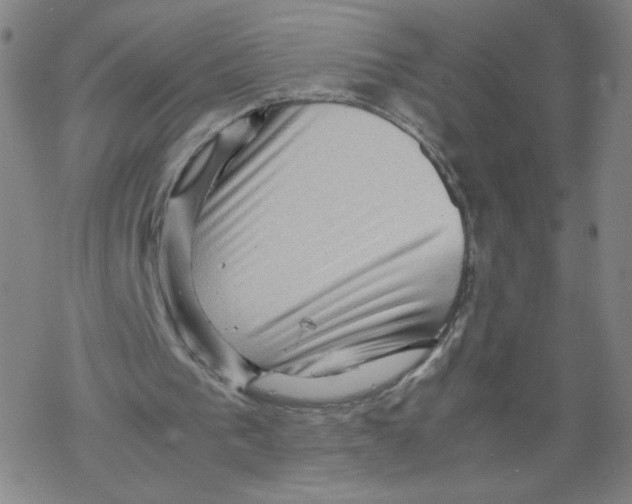 X0000067910193200605111951