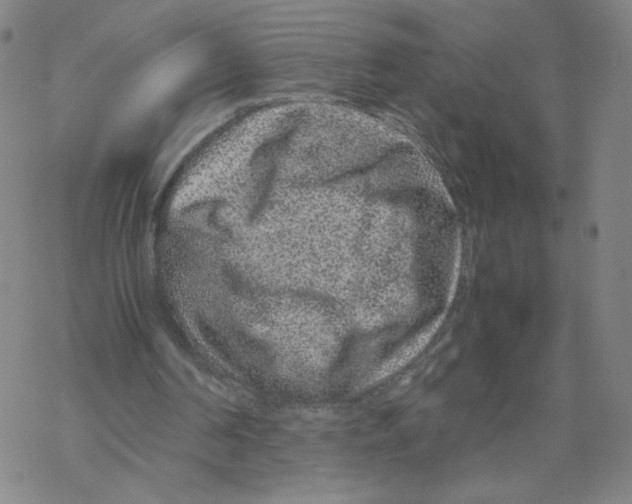 X0000067910194200605111951