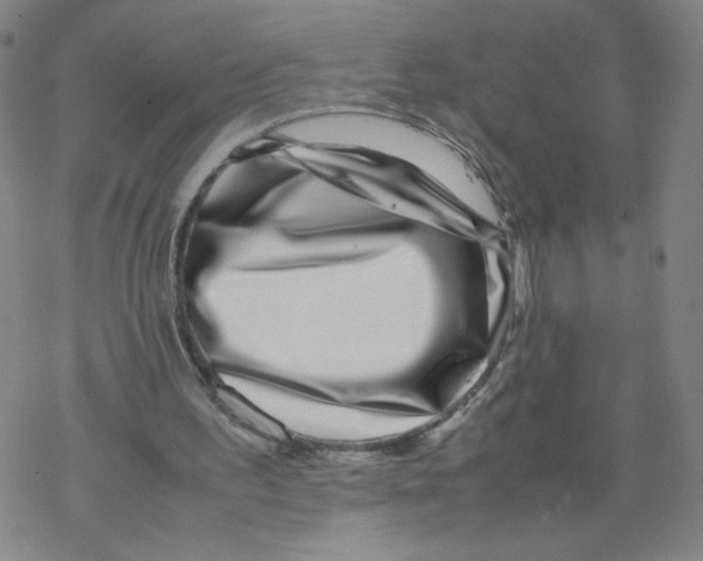 X0000067910195200605111951