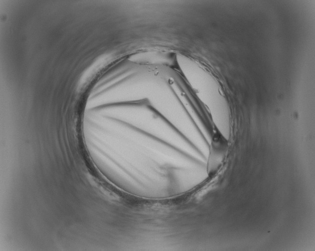 X0000067910197200605111951