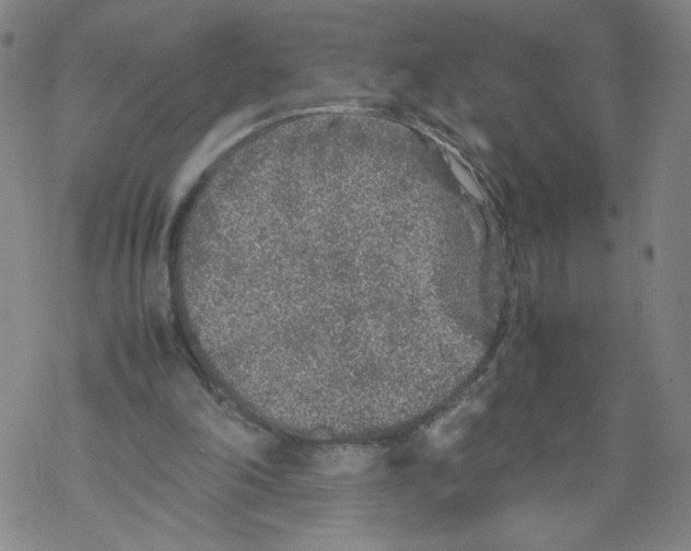 X0000067910198200605111951