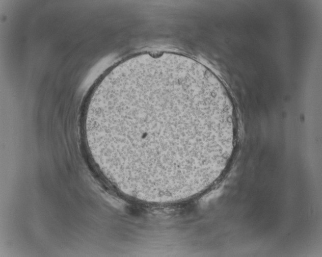 X0000067910199200605111951