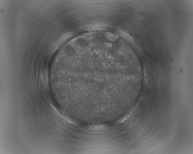 X0000067910202200605111951