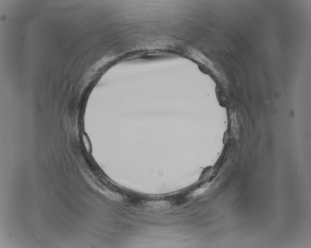 X0000067910203200605111951