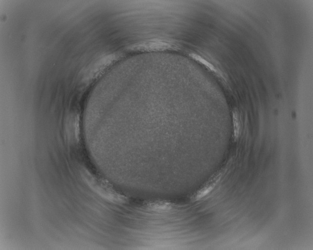 X0000067910206200605111951