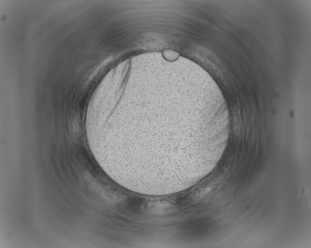 X0000067910208200605111951