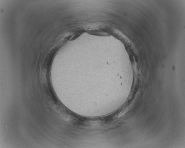 X0000067910209200605111951