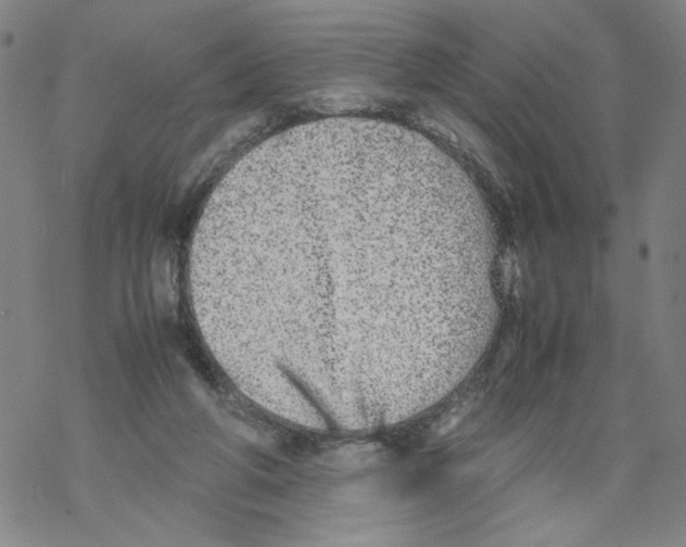 X0000067910210200605111951