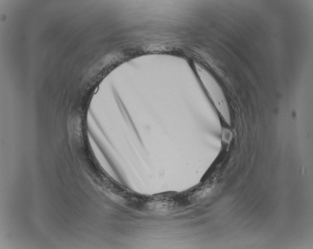 X0000067910211200605111951