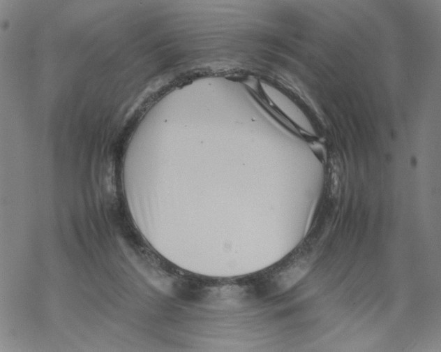 X0000067910212200605111951