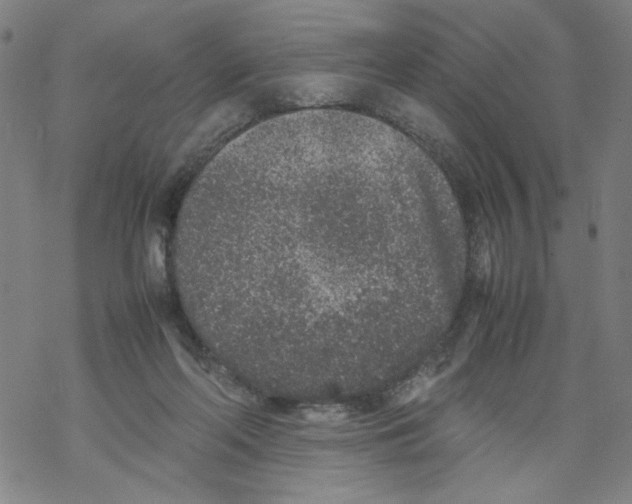 X0000067910214200605111951