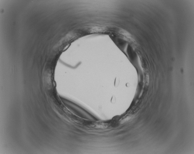 X0000067910215200605111951