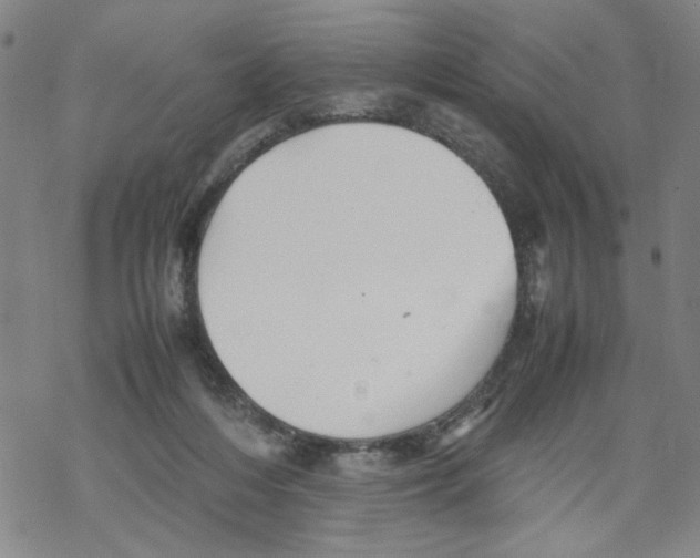 X0000067910216200605111951