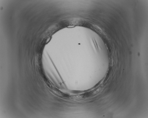 X0000067910217200605111951