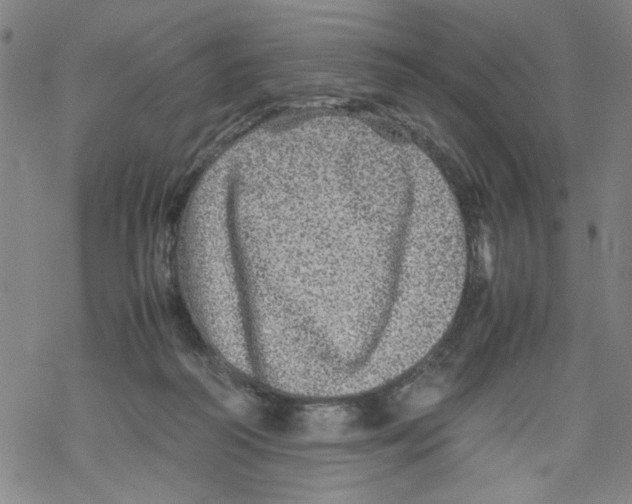 X0000067910218200605111951