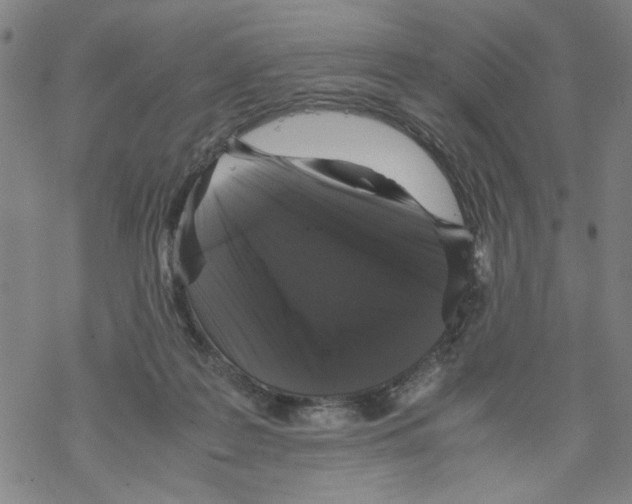 X0000067910219200605111951