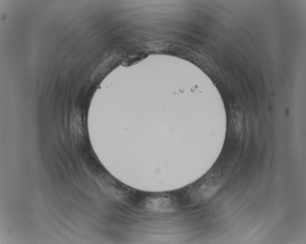 X0000067910220200605111951