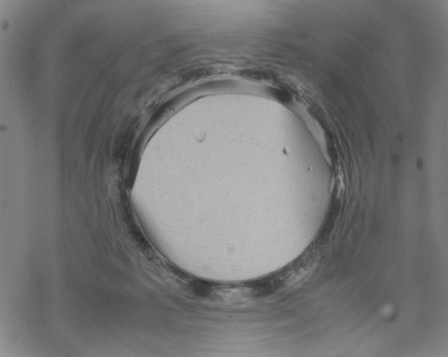 X0000067910221200605111951