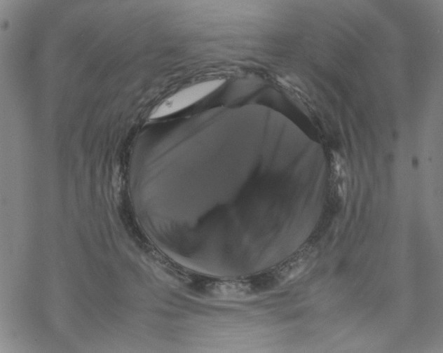 X0000067910223200605111951