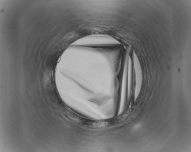 X0000067910225200605111951