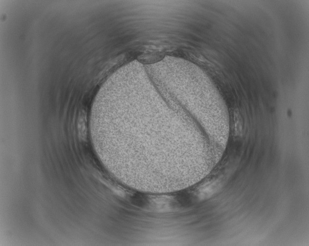 X0000067910226200605111951