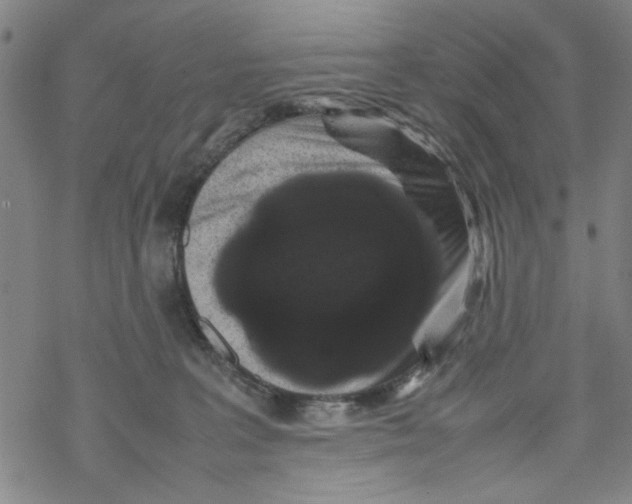 X0000067910227200605111951