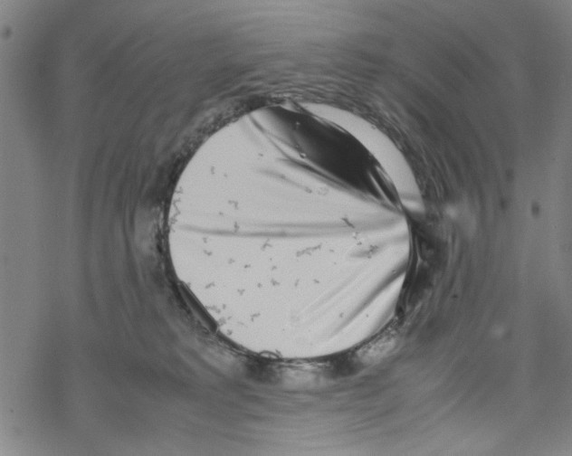 X0000067910229200605111951