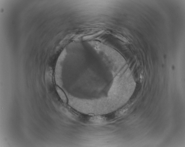 X0000067910231200605111951